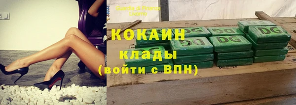 индика Пенза