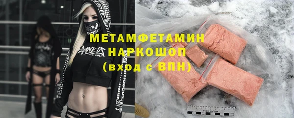 индика Пенза