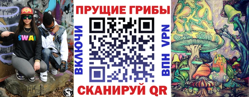 Псилоцибиновые грибы Psilocybe  Купить закладки  Похвистнево 